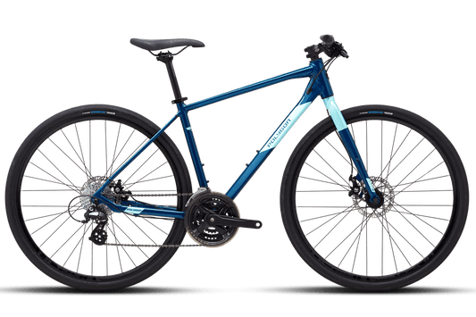 Polygon Path 2 Hybrid Trekking Bike